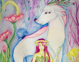 concours-dessin-2555