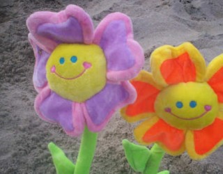 Fleurs joyeuses
