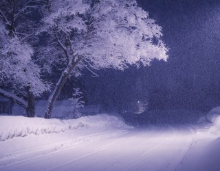 Hivers de givre