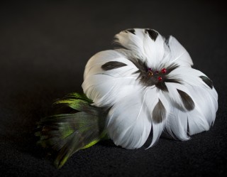 Mme Plume